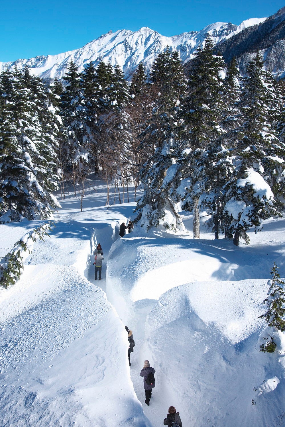 雪の回廊／画像提供：岐阜県