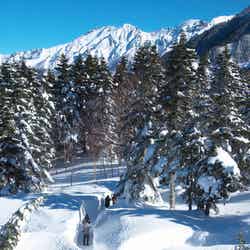 雪の回廊/画像提供:岐阜県