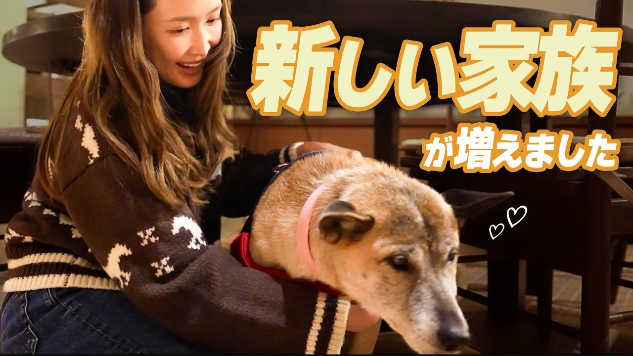 紗栄子、保護犬を新しい家族として迎えたことを報告
