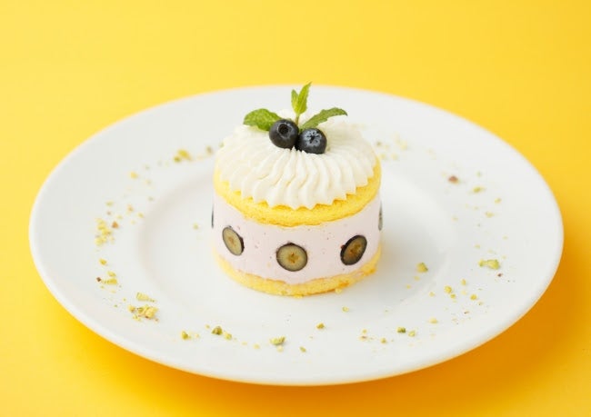 ブルーベリーのチーズショートケーキ／画像提供：コンテンポラリープランニングセンター