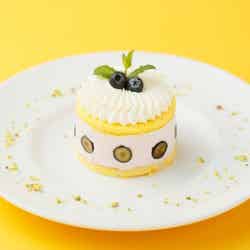 ブルーベリーのチーズショートケーキ/画像提供:コンテンポラリープランニングセンター