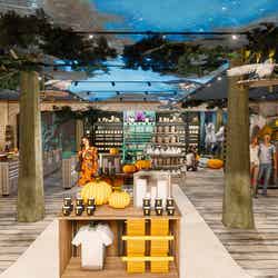 ハリー・ポッター ショップ 原宿/提供画像