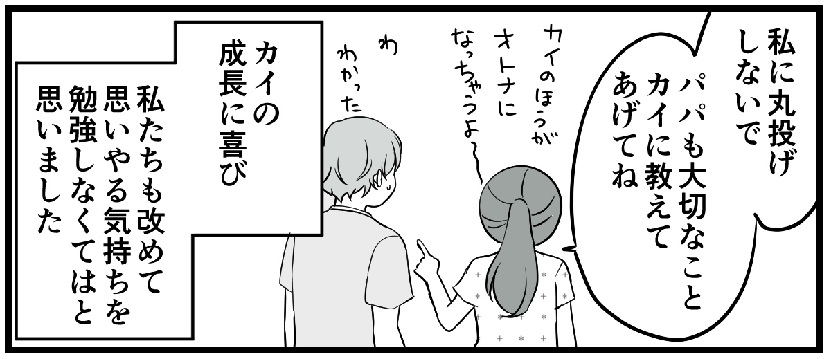 4_3_3