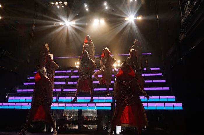 六本木金魚（画像提供：六本木金魚）