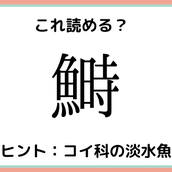栄螺 って何て読む 読めたらスゴイ 難読漢字 4選 モデルプレス 栄螺 って何て読む 読めたらスゴイ 難読漢字 4選 モデルプレス