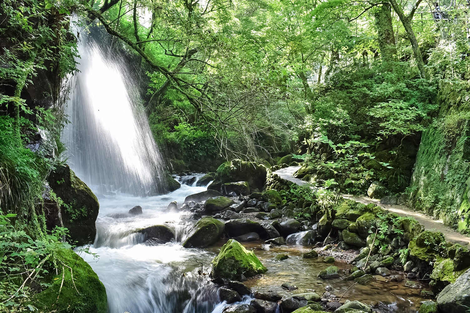 ザ ベース グランピング湯河原／画像提供：ブッキングリゾート
