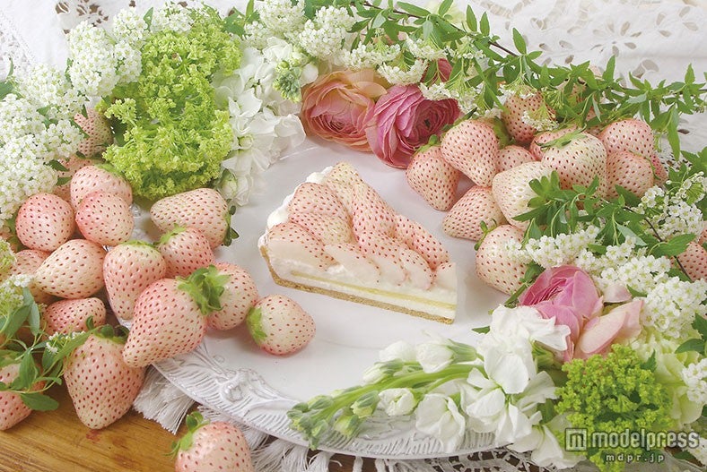「特選　白イチゴ～初恋の香り～のタルト」＜piece＞1,630円（税込）、＜whole（21cm）＞12,420円（税込）