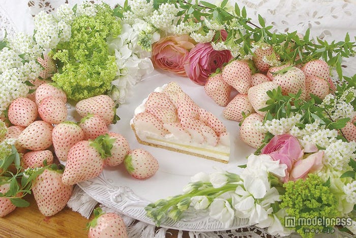 「特選 白イチゴ~初恋の香り~のタルト」<piece>1,630円(税込)、<whole(21cm)>12,420円(税込)