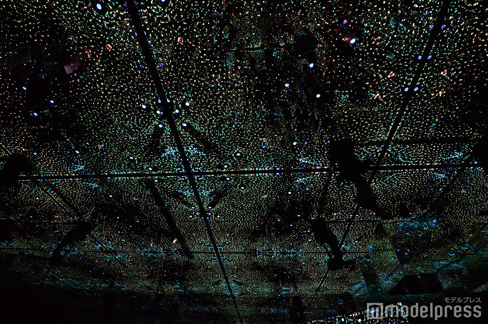 null2（C）モデルプレス