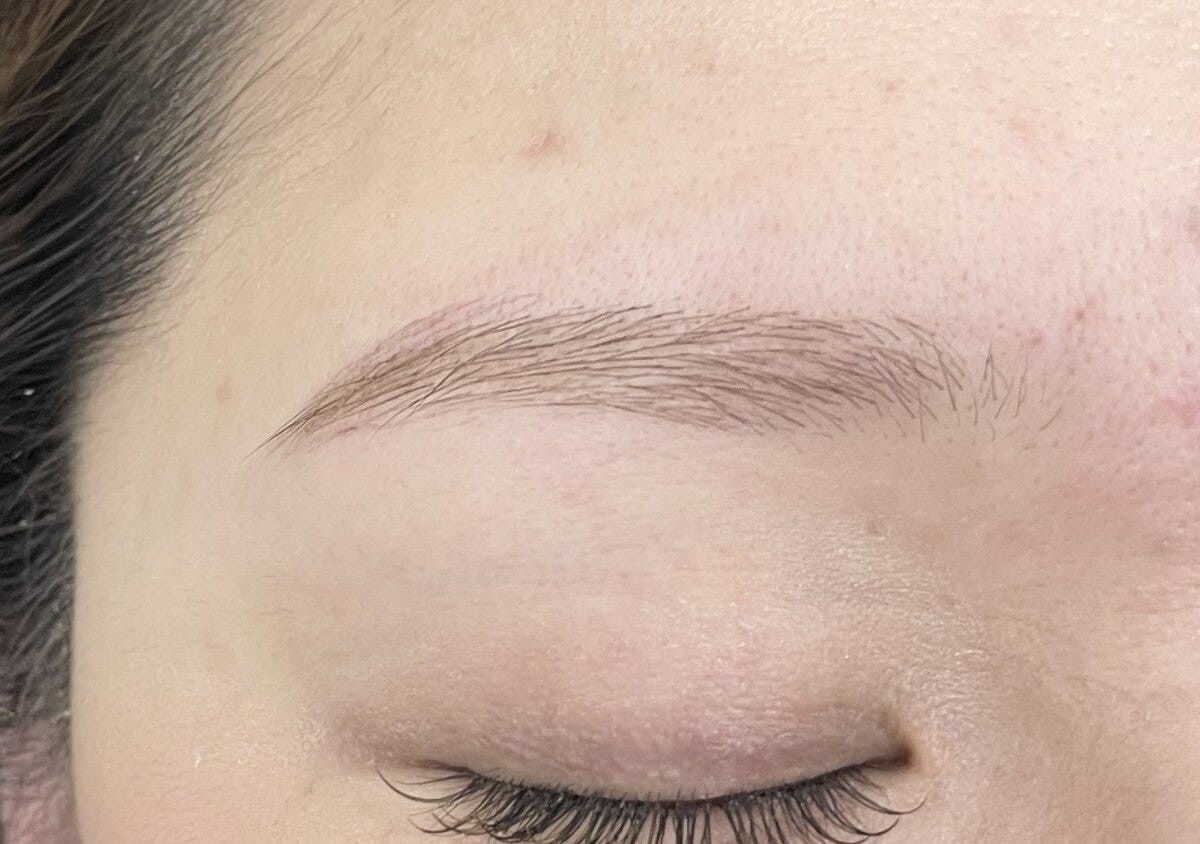 綺麗な眉の見本