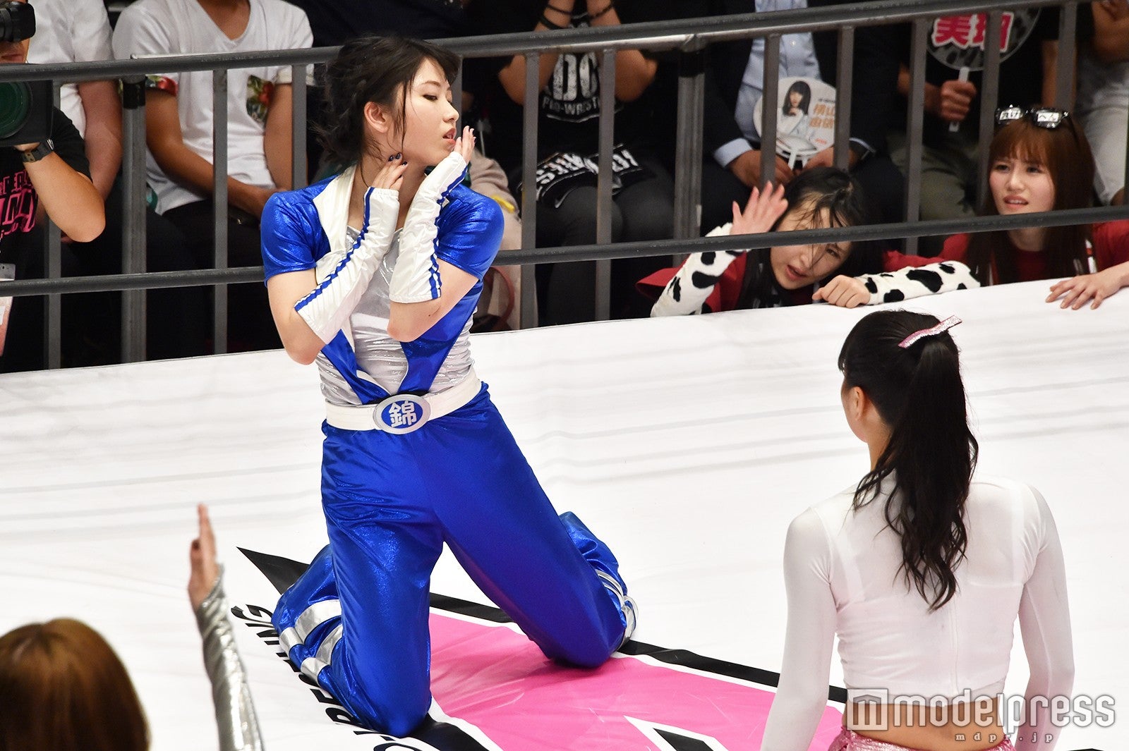 豆腐プロレス The REAL 2017 WIP CLIMAX（C）モデルプレス