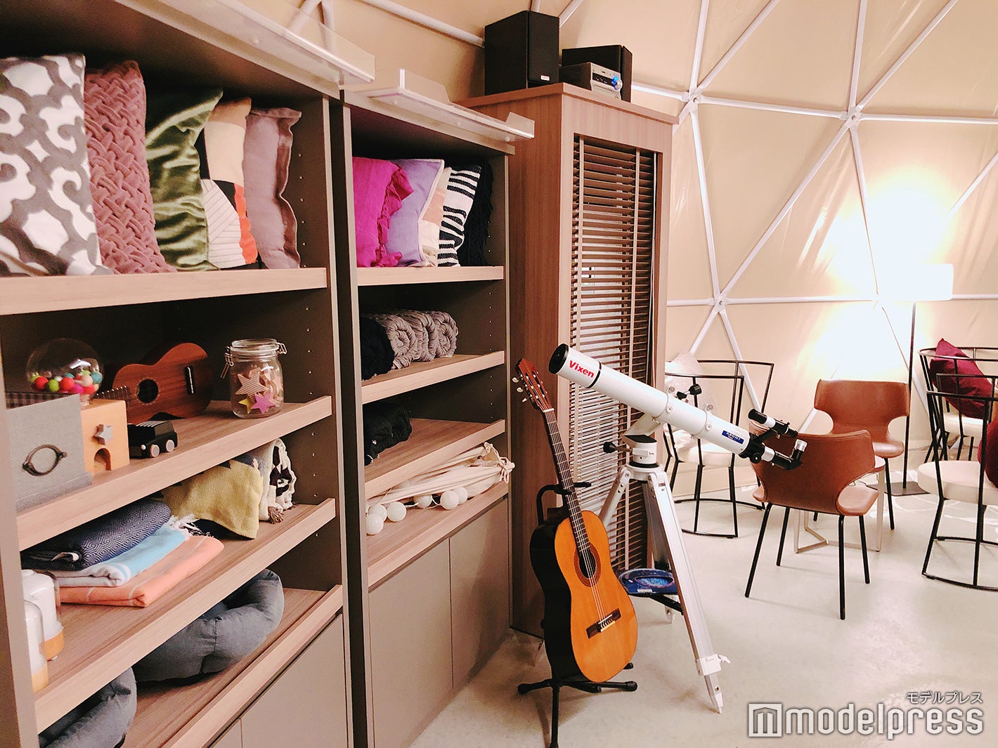 クッション、ブランケット、犬用ベッドなどがレンタル自由（C）モデルプレス