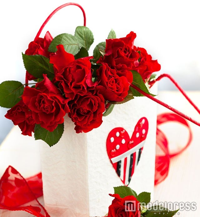 「絶対嬉しい」「母の日にピッタリ」とSNSで話題　インスタグラマー注目のフォトジェニックなギフトとは