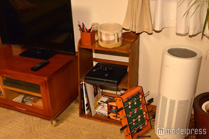 小さい頃、姉弟が遊んだゲームでしょうか?(C)モデルプレス