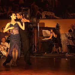 妖艶ドレスでタンゴを披露する栗山千明/「栗山千明 愛と官能のタンゴ~ブエノスアイレスの想い出~」(後編)より(C)NHK