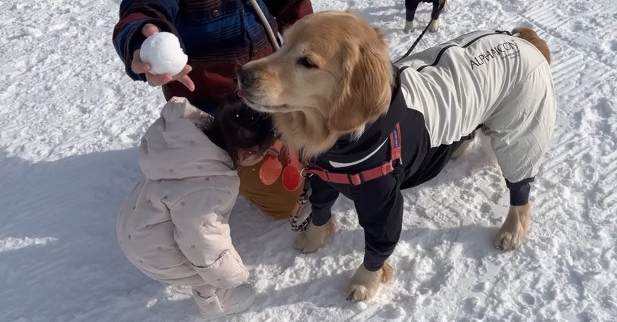 雪玉を壊すおからちゃんにパパが放った一言「作った人の気持ち考えたことある?」