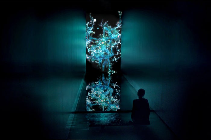 冷たい生命／画像提供：チームラボ