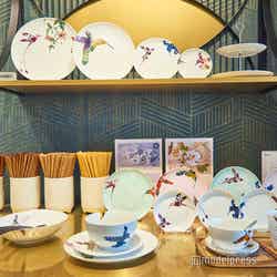 中国の伝統的なモチーフである“花鳥”からインスピレーションを得てデザインされた新シリーズ。
シンプルかつ華やかなデザインで、どんな料理をも引き立ててくれそう(C)モデルプレス