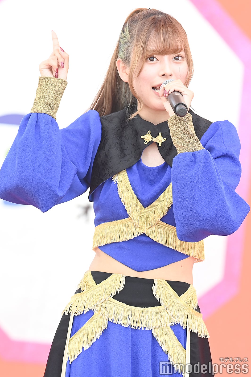 豆柴の大群（C）モデルプレス