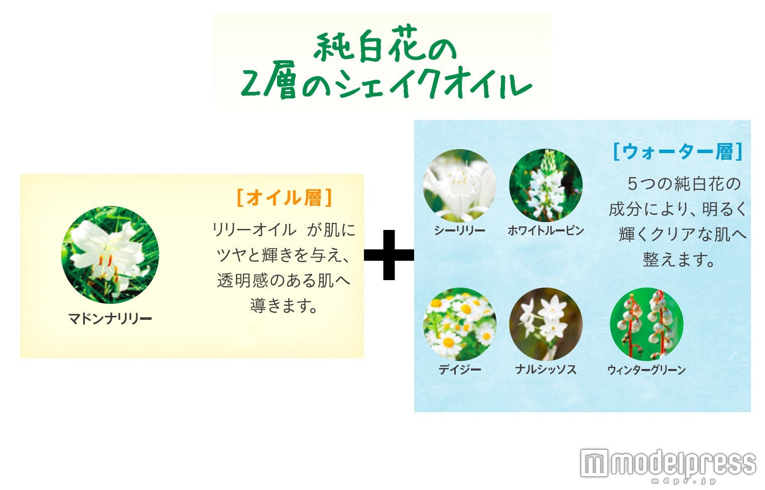 純白花がブライトケア