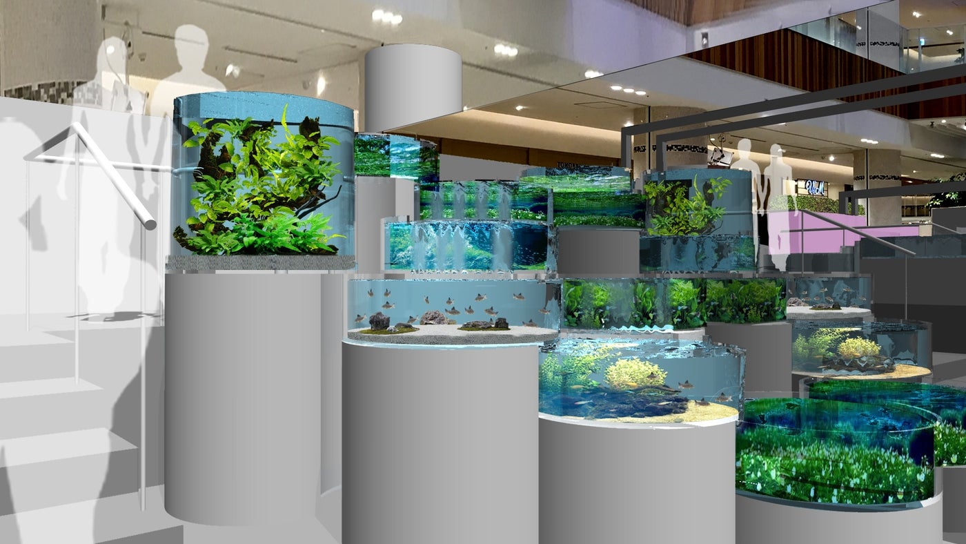 日本八景の滝（C）2017 Green Aquarium Project. All Rights Reserved.