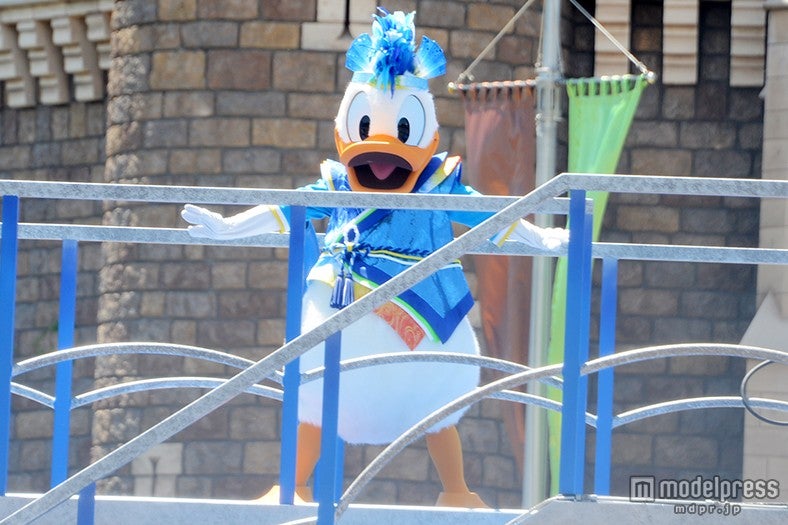 ドナルド／雅涼群舞