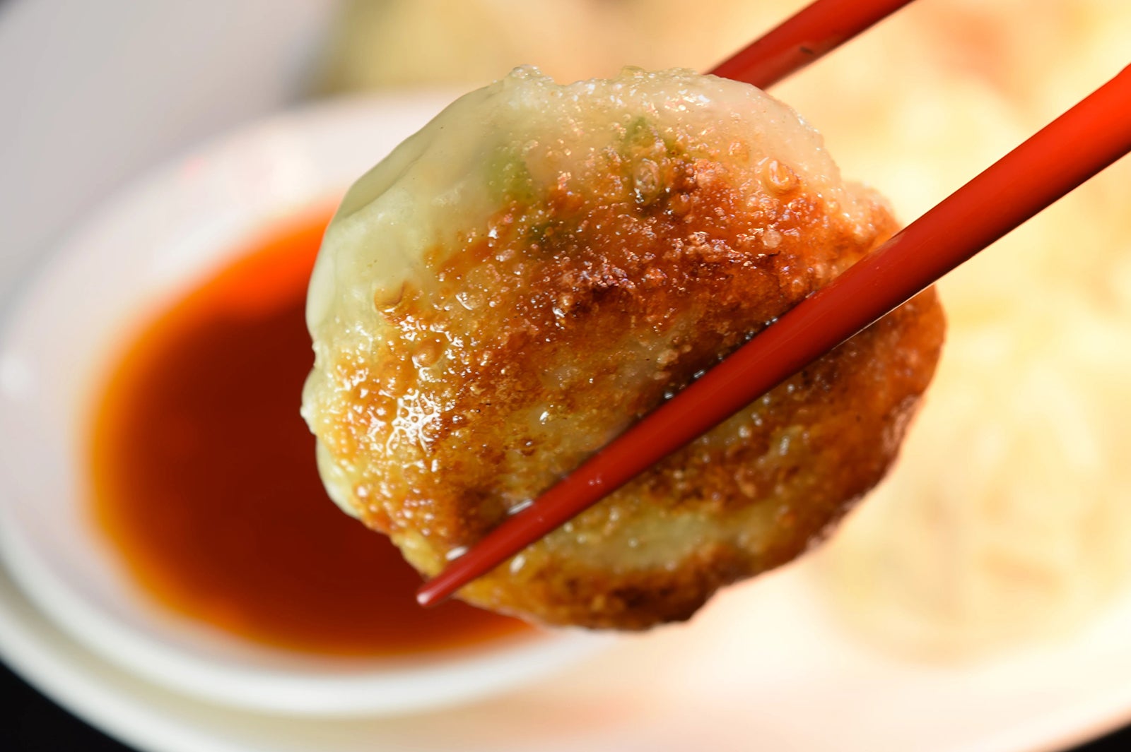 メニューイメージ／画像提供：全日本ぎょうざ祭り事務局