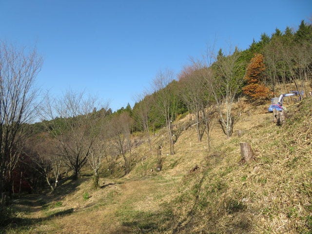 鳥見山公園