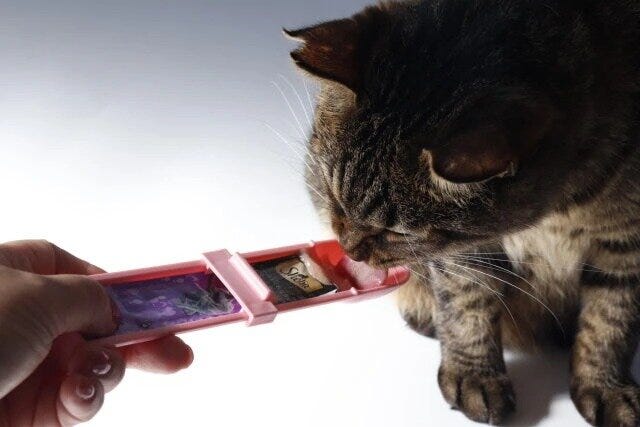 ダイソー　しぼってスプーン　