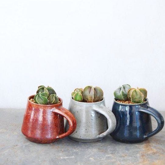 玄関を多肉植物で癒しの空間に おしゃれな飾り方 アイデア集めました モデルプレス 玄関を多肉植物で癒しの空間に おしゃれな飾り方 アイデア集めました モデルプレス