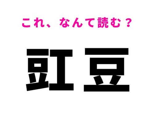 【豇豆】はなんて読む?細長いさやが特徴の植物!