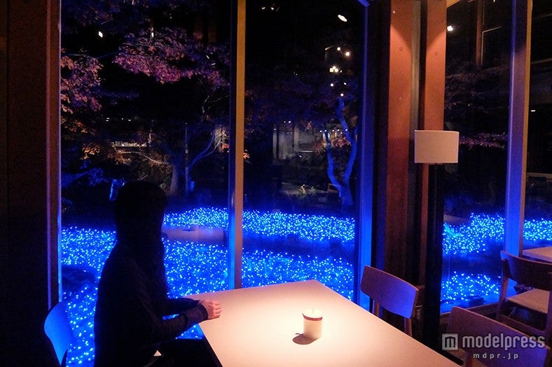 約1万個のLEDで彩られたテラス席／画像提供：京都水族館