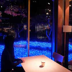 約1万個のLEDで彩られたテラス席／画像提供：京都水族館