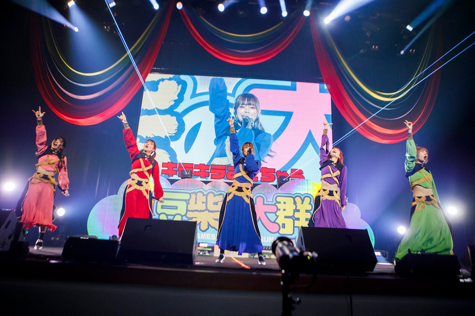 豆柴の大群（提供画像）