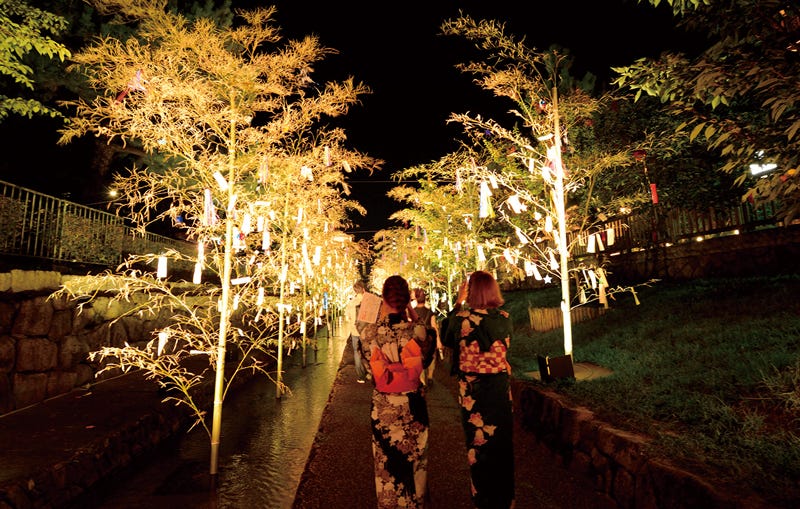 夏の京都で幻想的なライトアップ「京の七夕」街を彩るきらめきにうっとり