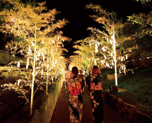 夏の京都で幻想的なライトアップ「京の七夕」街を彩るきらめきにうっとり