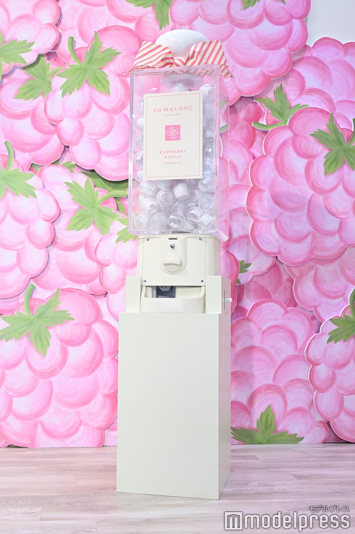 山田涼介が回したガチャガチャ(C)モデルプレス