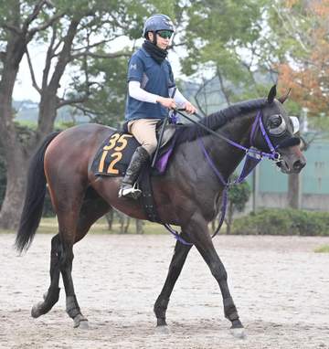 【新馬戦】ノヴァルクス 父・エフフォーリア譲りの雄大な馬体 横山武「馬っぷりの良さも父に似ている」