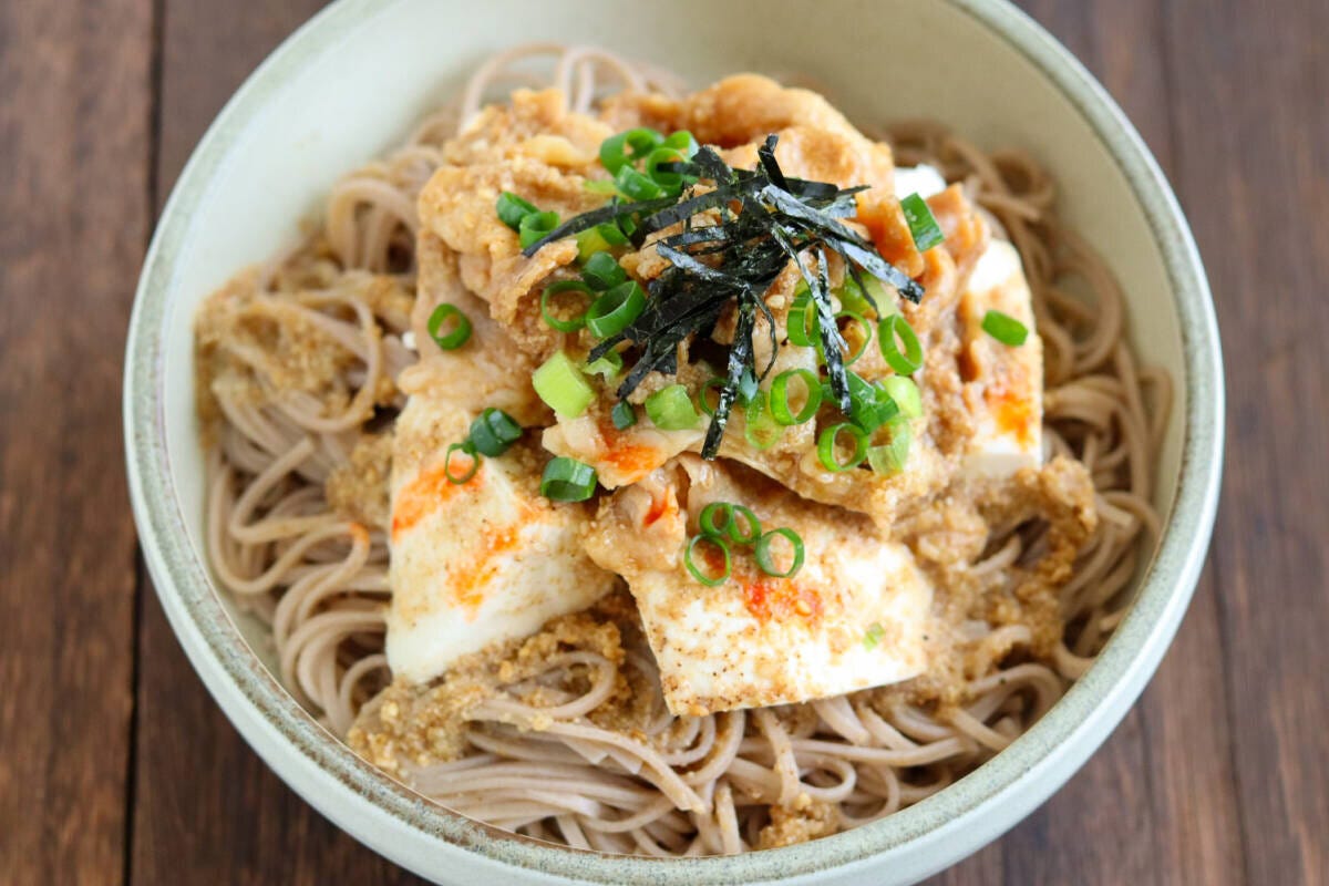 たれをかけ刻みねぎと刻みのりがトッピングされた冷製肉そば