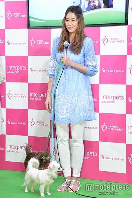 愛犬2匹を連れて登場した森泉