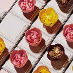 新スイーツブランド「TOKYOチューリップローズ」1号店が池袋に誕生/画像提供:株式会社グレープストーン