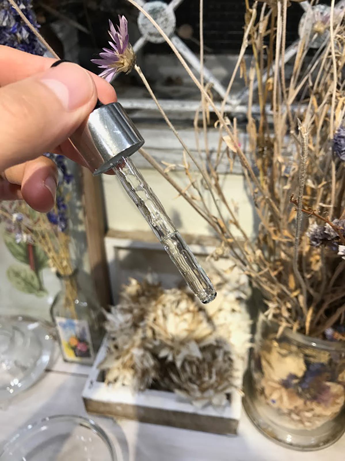 ガラクトミセス培養液の原液