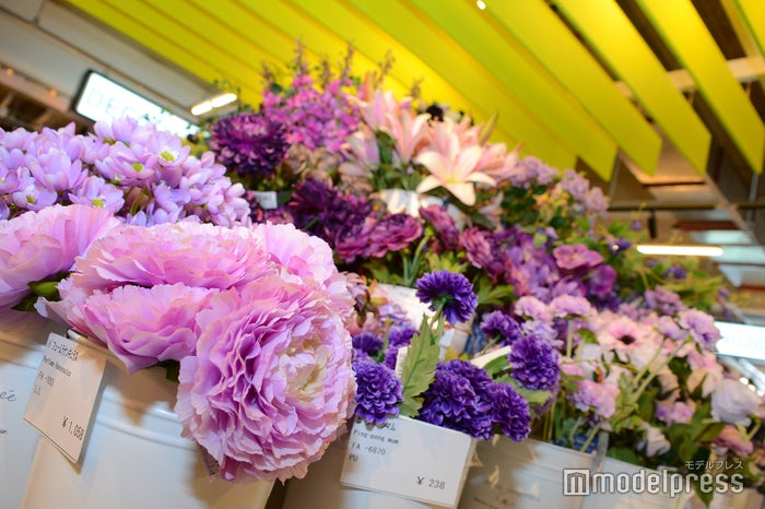 MONOTORY（C）ビューティーガール