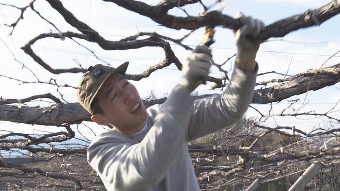 樋泉侑弥さん(C)NHK