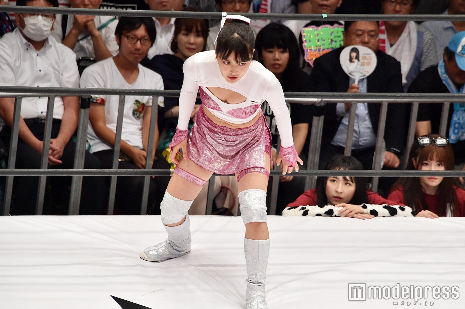 豆腐プロレス The REAL 2017 WIP CLIMAX（C）モデルプレス