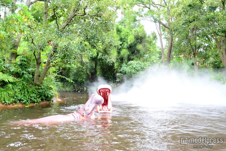 カバたちが現れる／「ジャングルクルーズ：ワイルドライフ・エクスペディション」