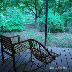 ミューの森(C)モデルプレス