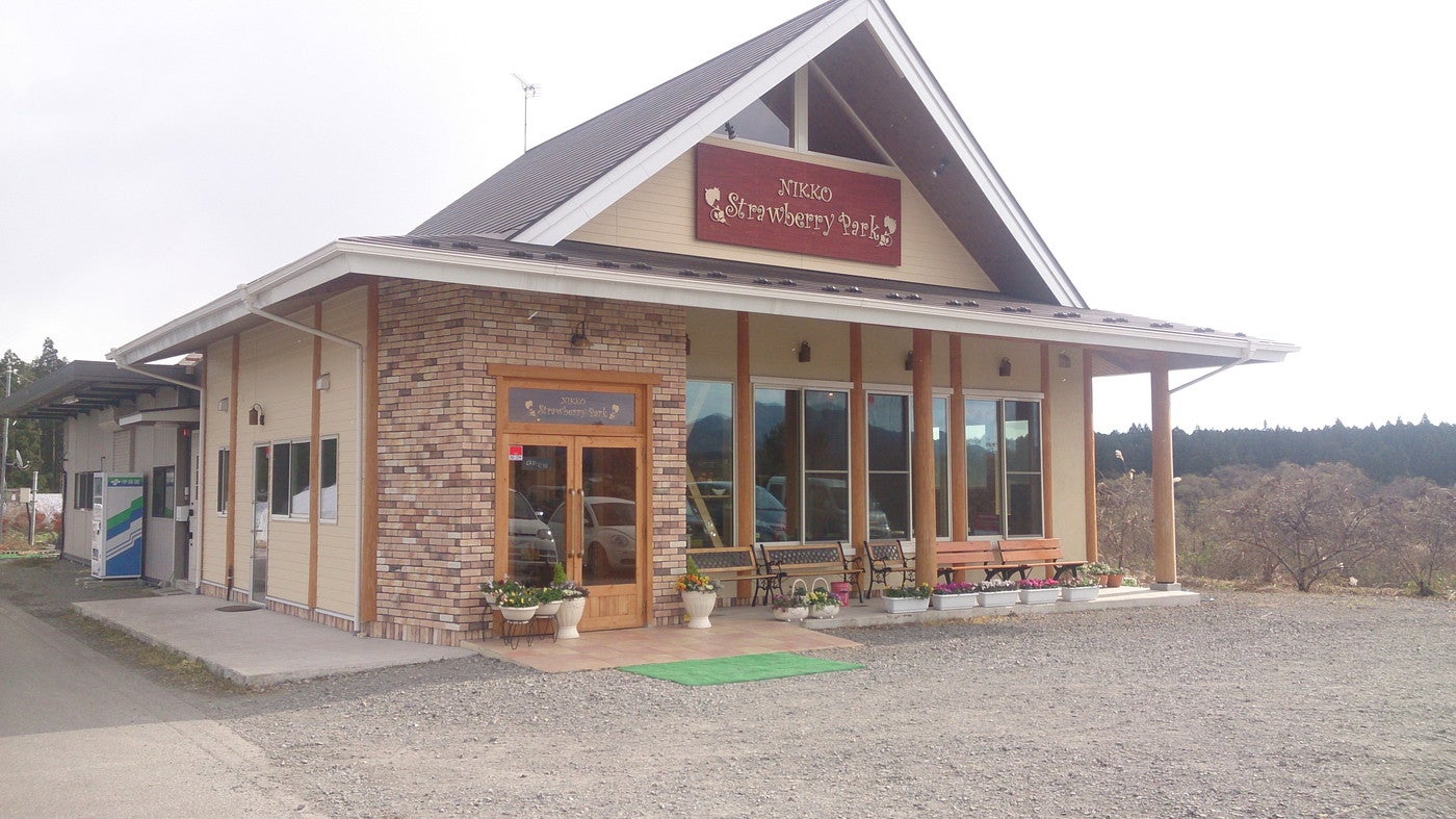 栃木のおいしいイチゴが食べたいならここ（提供画像）