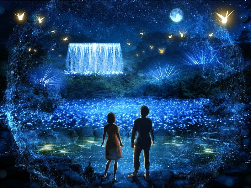 京都に通年点灯の新イルミネーション空間が誕生 光の海や7色トンネル輝く圧倒的な光の世界