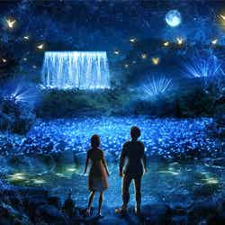 京都に通年点灯の新イルミネーション空間が誕生 光の海や7色トンネル輝く圧倒的な光の世界